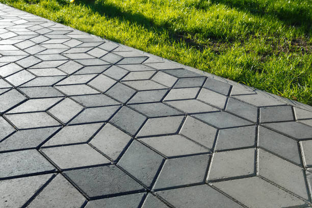 Best Driveway Paving Contractor  in Renton, WA